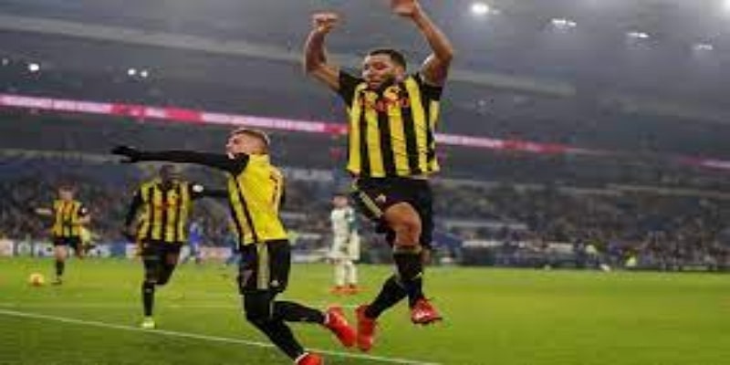 什鲁斯伯里的关键赛季，华体会视角解读 -  华体会