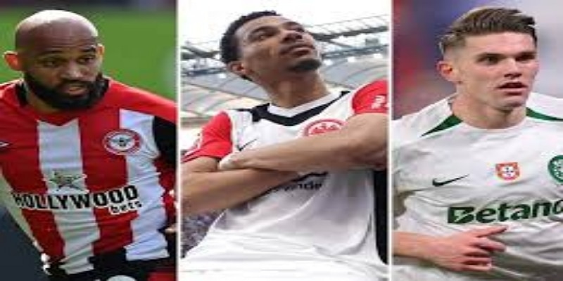 华体会专家观点 -华体会