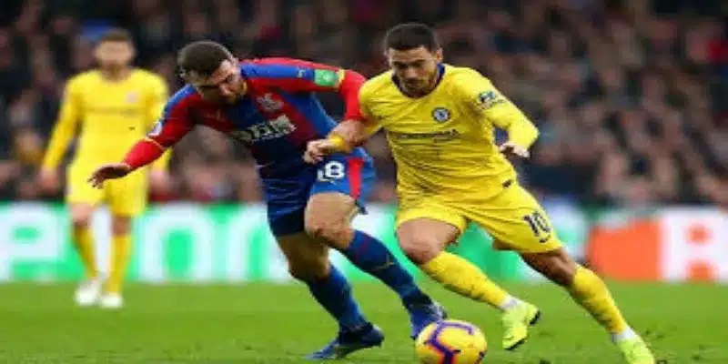 吉鲁的倡导与实际行动-华体会