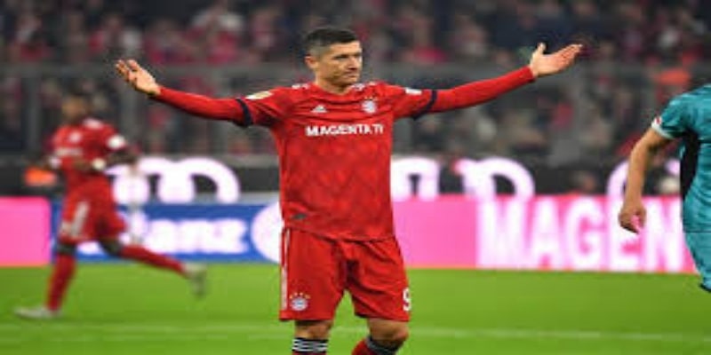 扎哈的水晶宫时代：忠诚与突破并存-  华体会