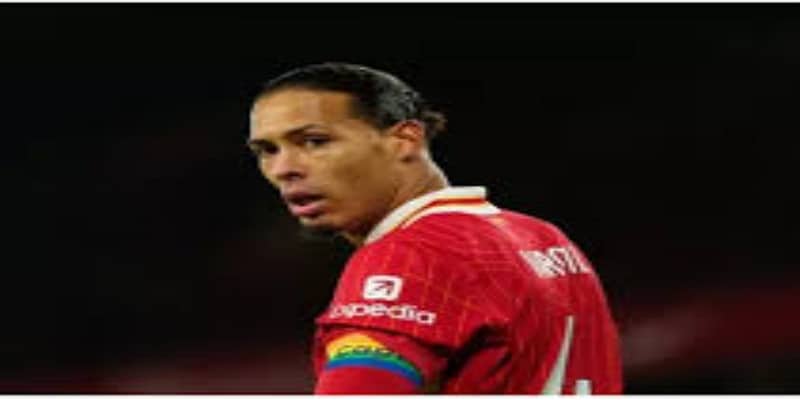  视角：新机会与组织挑战  - 华体会