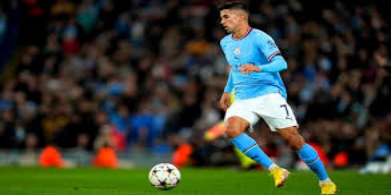 转会细节与背景 - 华体会