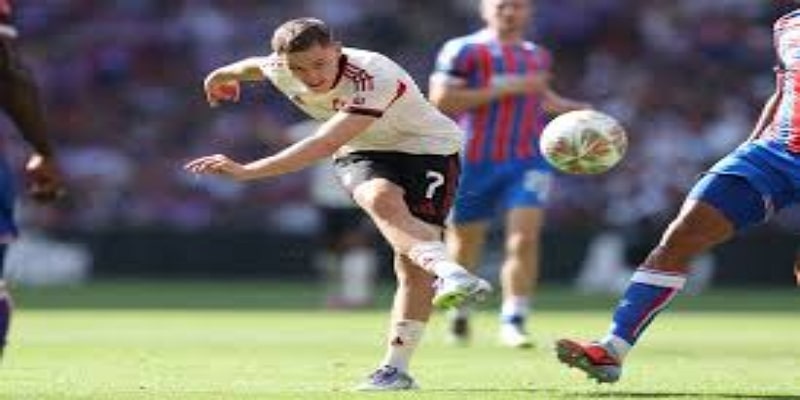 事件回顾：塞尔赫斯特公园的危险瞬间- 华体会