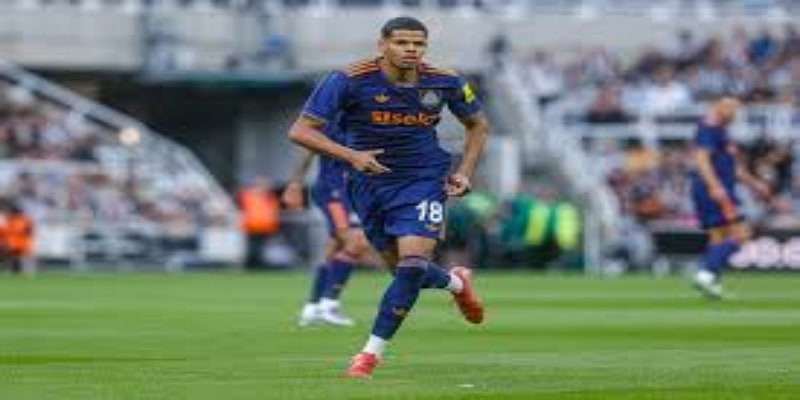 战术复盘与未来展望 -华体会