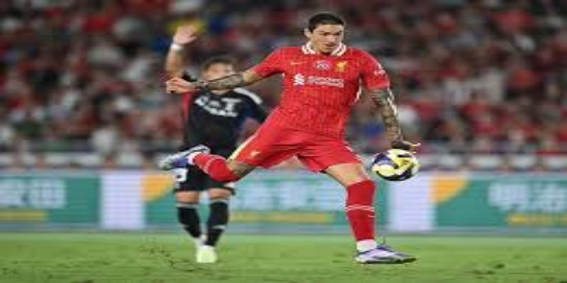 战术解析：轮换与风险的平衡- 华体会