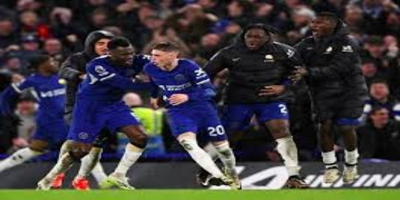 数据背后的实力：华体会评估彼得罗维奇的竞技潜力-华体会