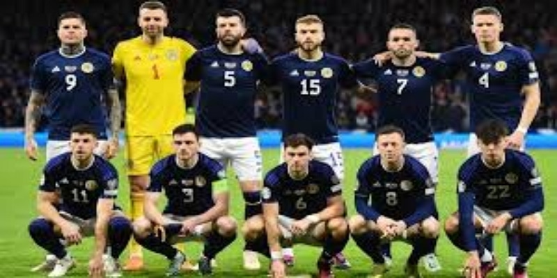 未来展望：红龙重建之路 - 华体会