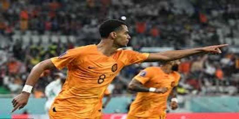 范佩西怒斥罗本太自我 华体会还原更衣室真相  -华体会