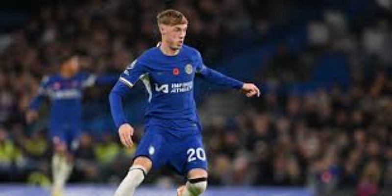 门将位置再添强援：华体会揭示彼得罗维奇加盟细节-华体会