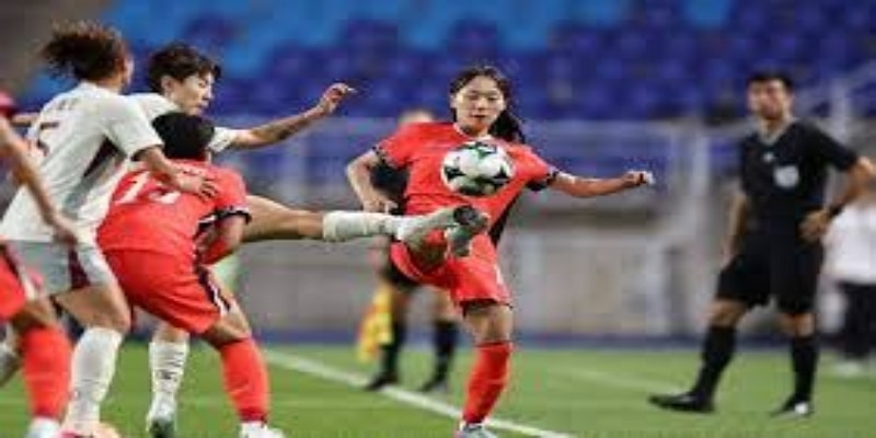 历史成就与国际舞台展望-华体会