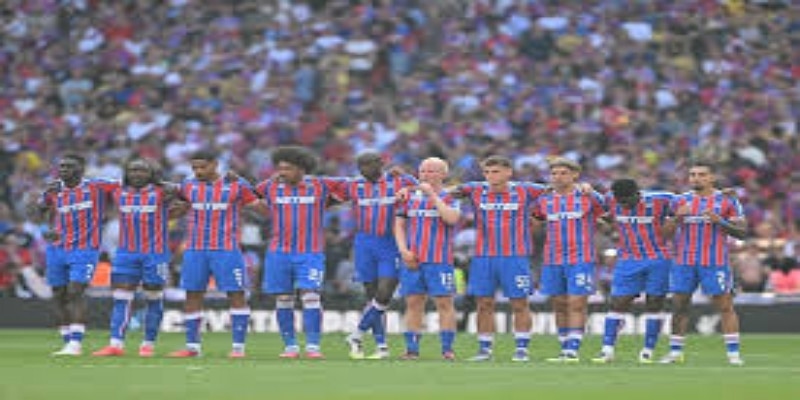 深层影响与治理挑战-华体会