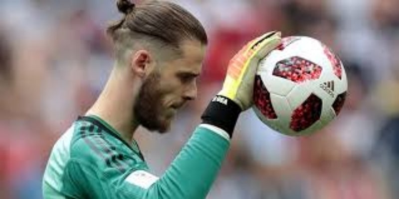 阵容焦点与临时补强：贝尼特斯的务实选择  -华体会