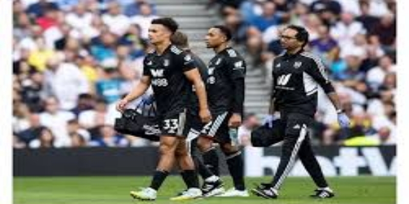 华体会战术视角：体系为王，富勒姆如何最大化中锋价值-华体会