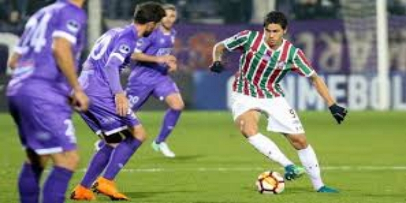 华体会案例分析：沃特福德的巴西路线为何成功 - 华体会